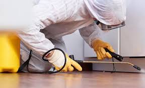 Best Real Estate Pest Inspections  in Surf City, NJ